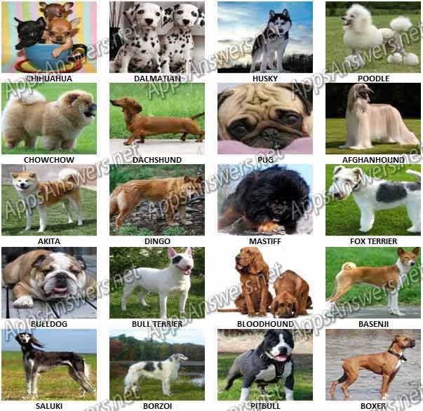 guess the dog breed