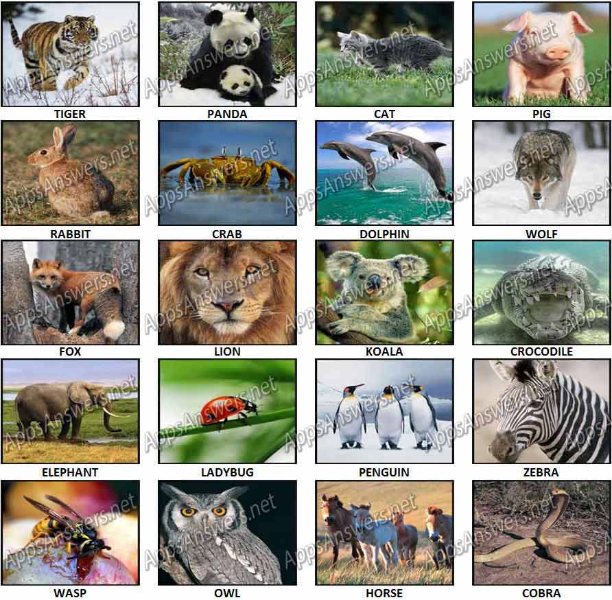 100-Pics-Animal-Planet-Answers-Pics-1-20