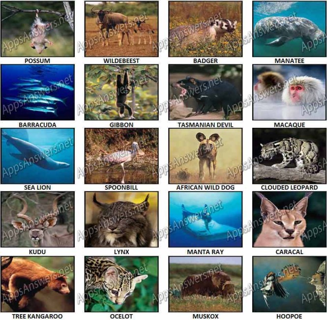 100 Pics Animal Level 81 Level 100 Answers