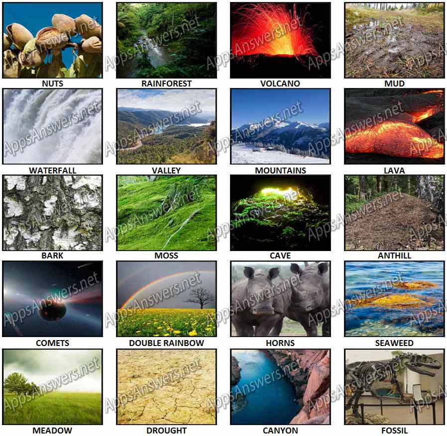 100-Pics-Nature-Answers-Pics-21-40
