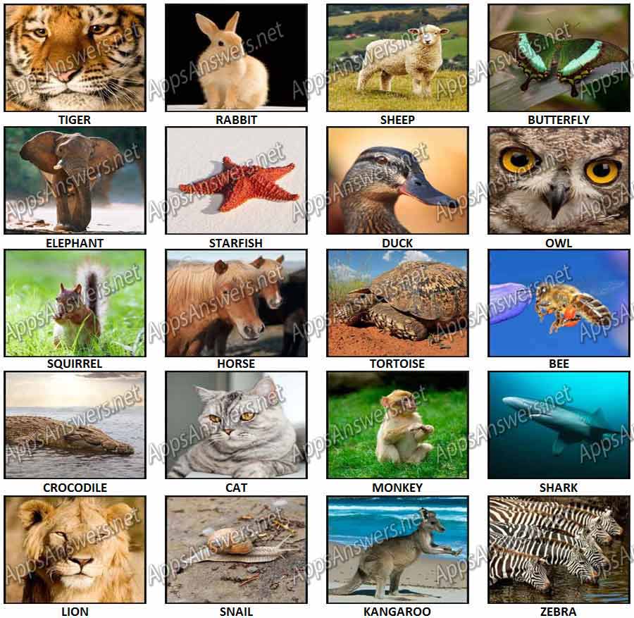 100 Pics Animals 2 Answers - Apps Answers .net