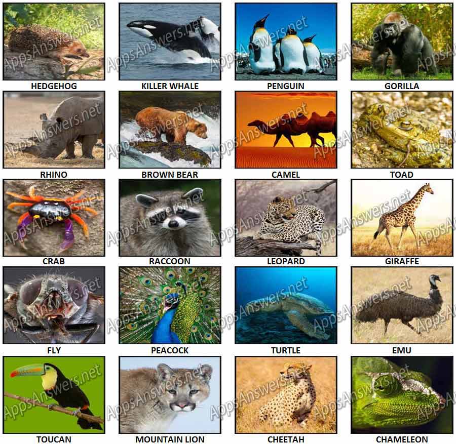 100 Pics Animals 2 Level 21 – Level 40 Answers - Apps Answers .net
