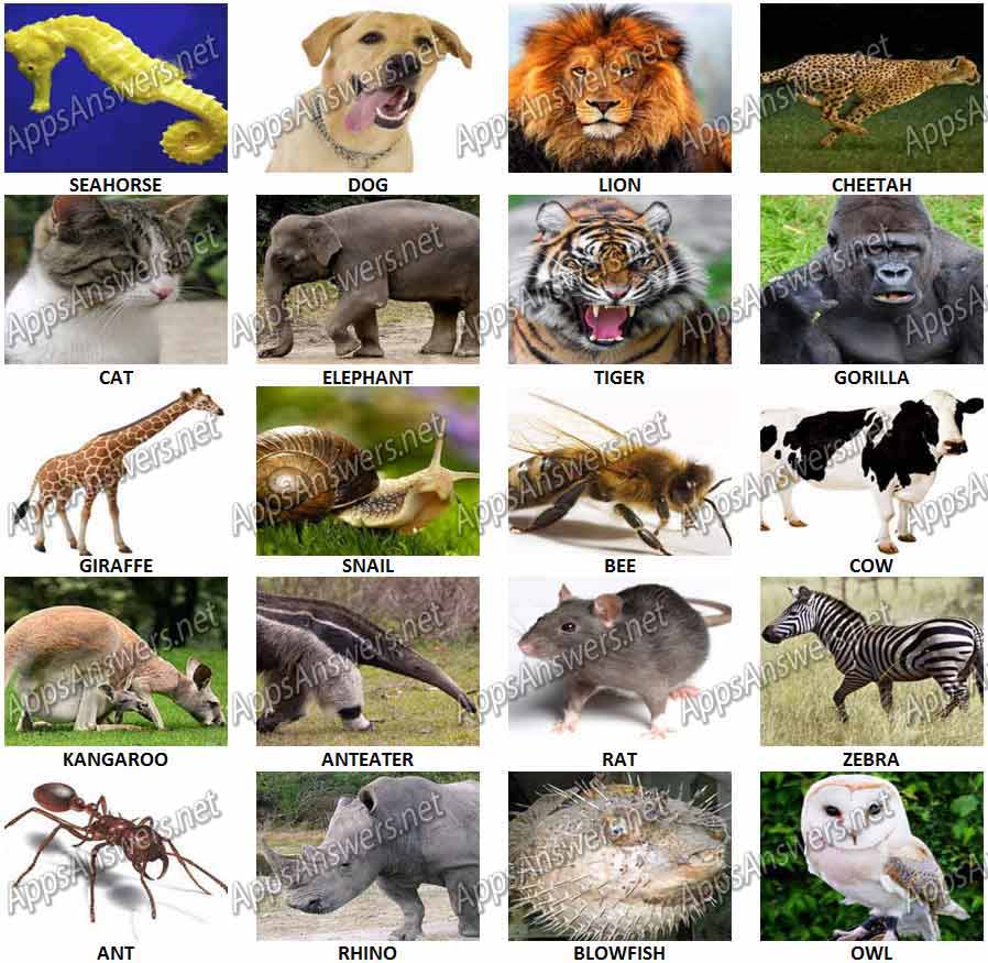 100 Pics Quiz Animals