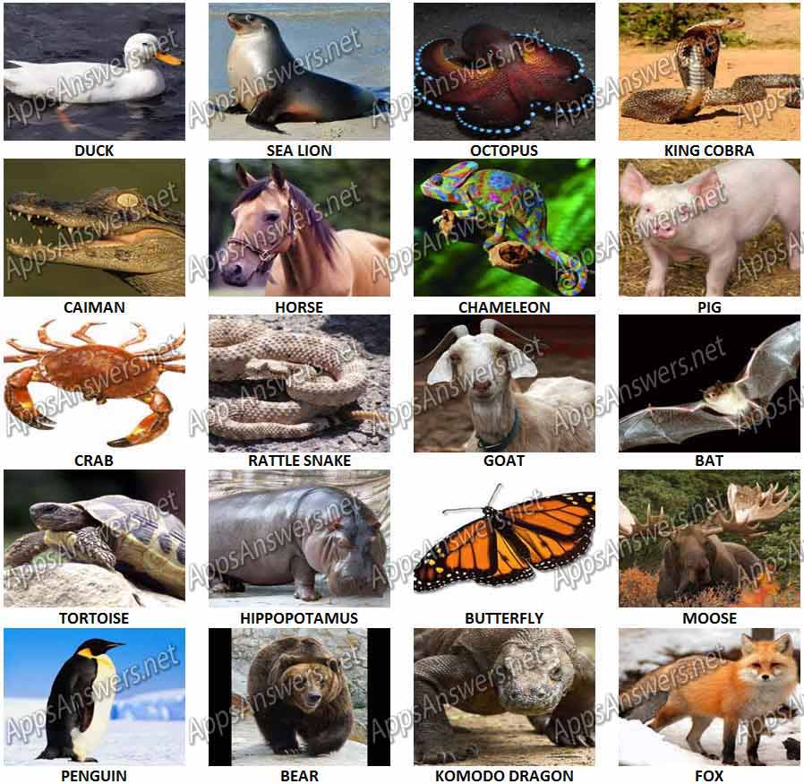 100 Pix Quiz Animals Level 21 – Level 40 Answers - Apps Answers .net