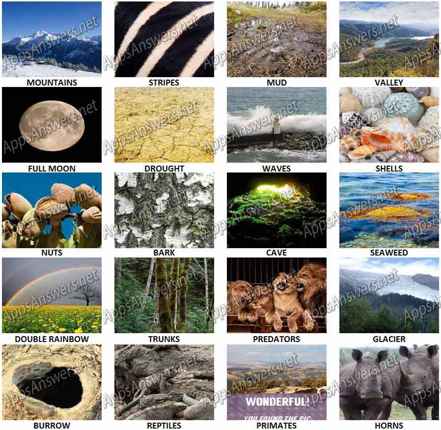 100-Pix-Quiz-Nature-Answers-Pic-21-40