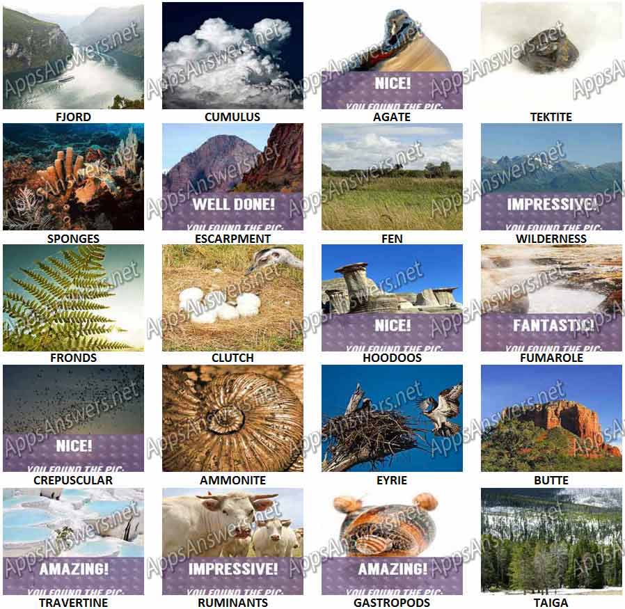 100-Pix-Quiz-Nature-Answers-Pic-81-100