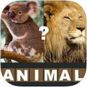 Animal Quiz By guillaume coulbaux