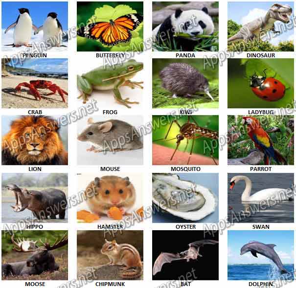 Guess-What-Animal-Quiz-Answers-Level-1-20
