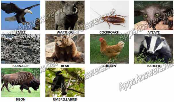Guess-What-Animal-Quiz-Answers-Level-121-130