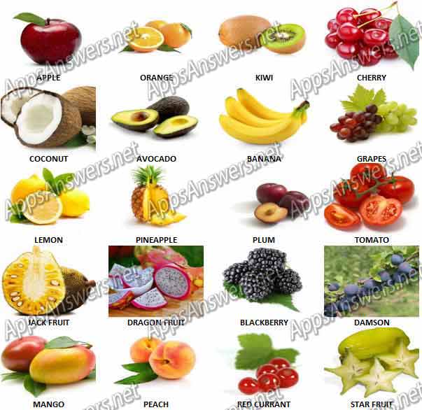 Guess-What-Fruit-Quiz-Answers-Level-1-20