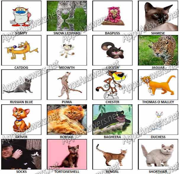 100-Pics-Cats-Answers-Pics-21-40