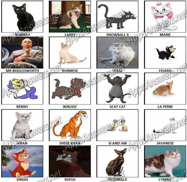 100-Pics-Cats-Answers-Pics-41-60