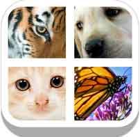 Close Up Animals 2015 By Mediaflex Games