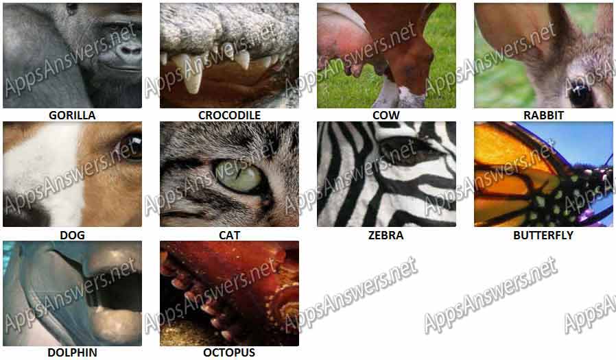 Close-Up-Animals-2015-Level-1-Answers-No-1-10