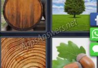 4-pics-1-word-daily-puzzle-19-11-2019-Answer-Amsterdam-Oak