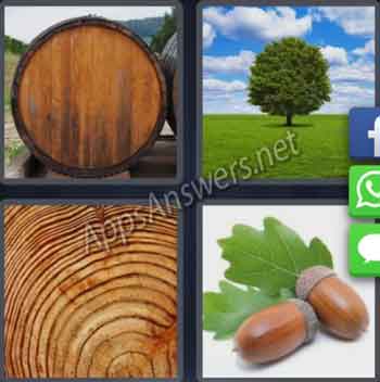 4-pics-1-word-daily-puzzle-19-11-2019-Answer-Amsterdam-Oak