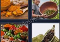 4-pics-1-word-daily-bonus-puzzle-07-Dec-2019-Answer-Christmas-SPICES