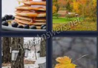 4-pics-1-word-daily-bonus-puzzle-22-Dec-2019-Answer-Christmas-MAPLE