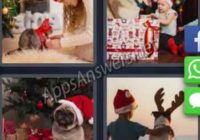 4-pics-1-word-daily-puzzle-06-12-2019-Answer-Christmas-Pet