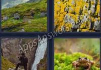 4-pics-1-word-daily-bonus-puzzle-09-Jan-2020-Answer-Norway-MOSS