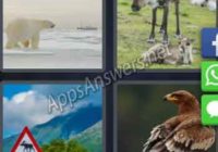 4-pics-1-word-daily-puzzle-06-Jan-2020-Answer-Norway-ANIMALS