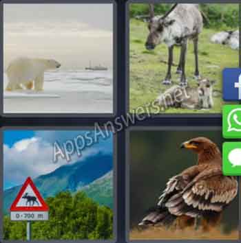 4-pics-1-word-daily-puzzle-06-Jan-2020-Answer-Norway-ANIMALS
