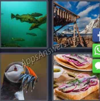 4-pics-1-word-daily-puzzle-16-Jan-2020-Answer-Norway-FISH