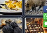 4-pics-1-word-daily-puzzle-28-Jan-2020-Answer-Norway-TRUFFLE