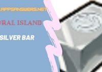 Coral Island Silver Bar